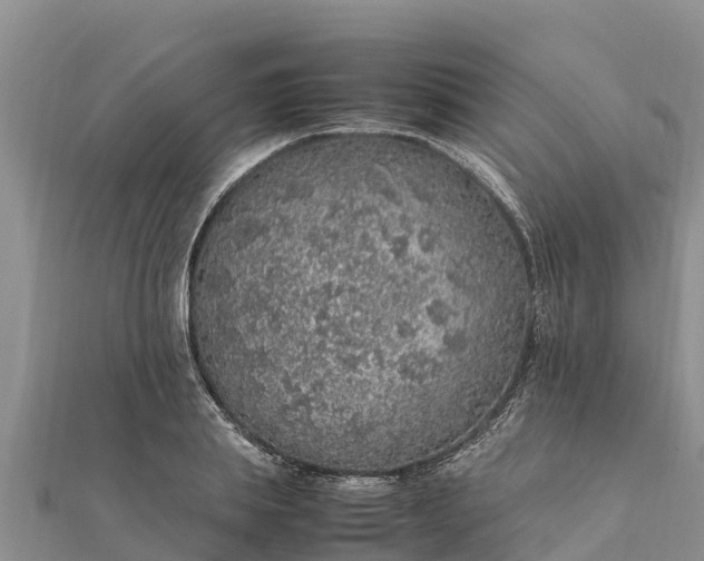 X0000112110839200908181346