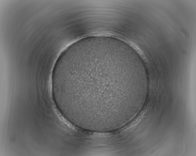 X0000112110840200908181346