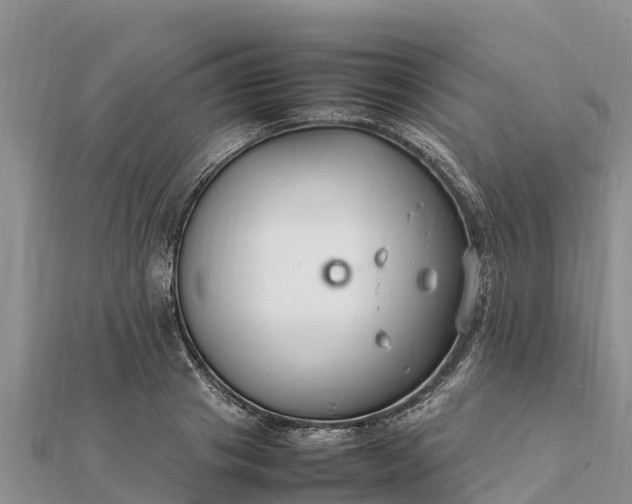 X0000112110841200908181346