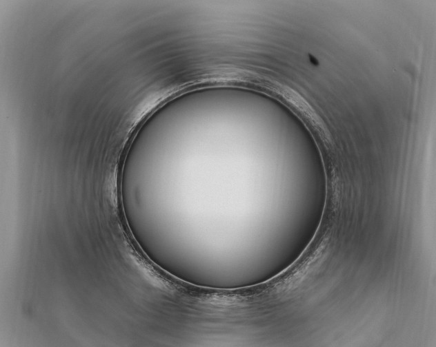 X0000112110842200908181346