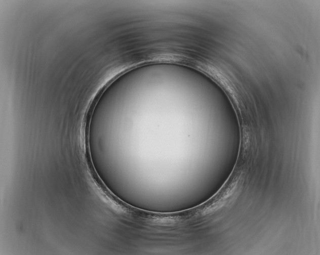 X0000112110843200908181346