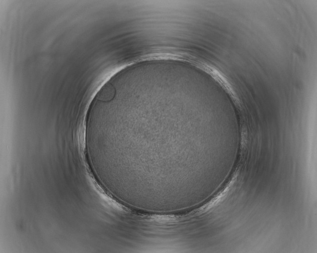 X0000112110844200908181346