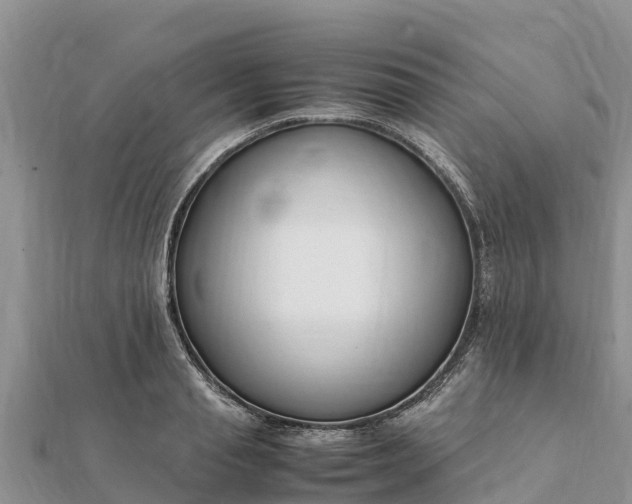 X0000112110845200908181346