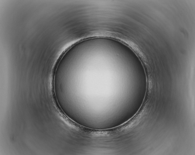 X0000112110846200908181346