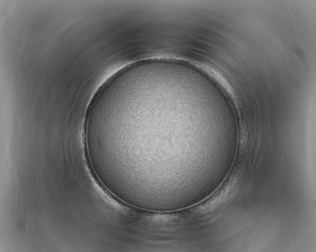 X0000112110847200908181346