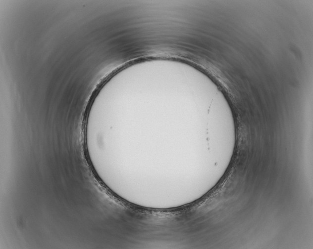 X0000112110848200908181346