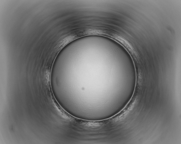 X0000112110849200908181346