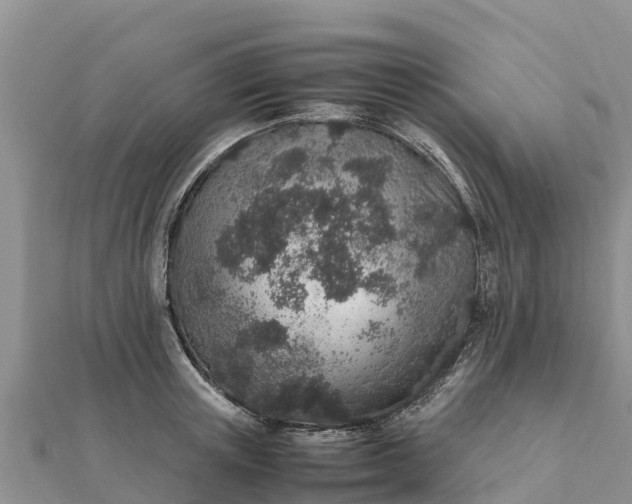 X0000112110851200908181346