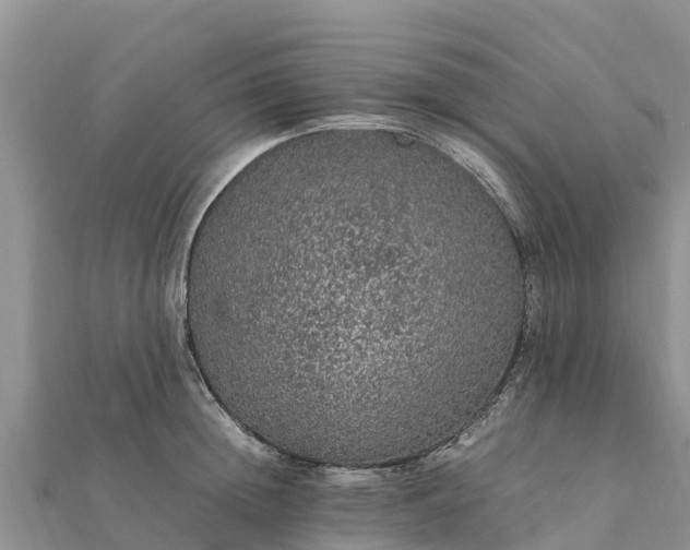 X0000112110852200908181346