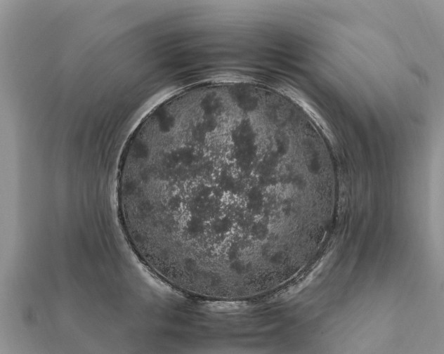 X0000112110853200908181346