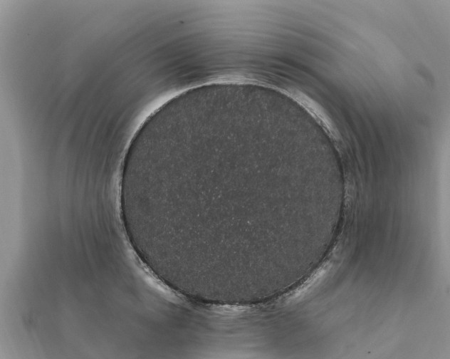 X0000112110854200908181346