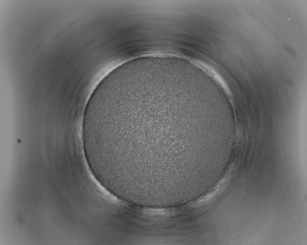 X0000112110855200908181346