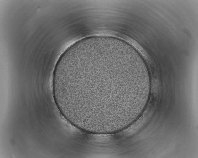 X0000112110856200908181346