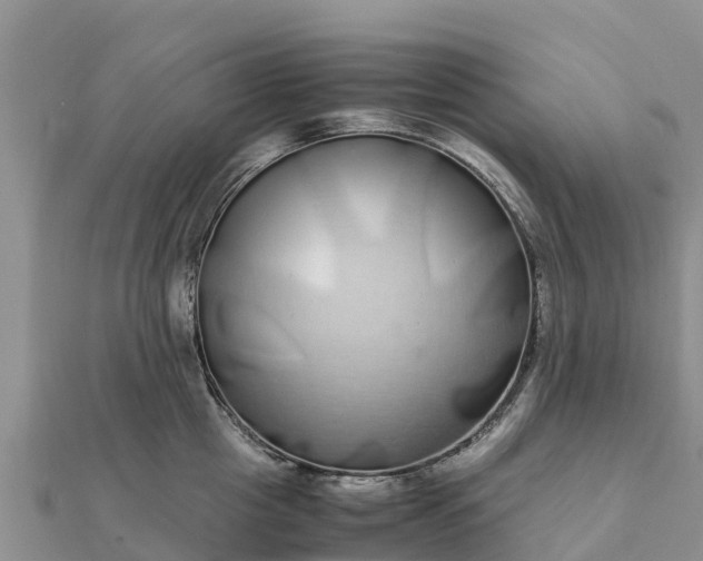 X0000112110857200908181346