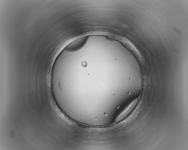 X0000112110860200908181346