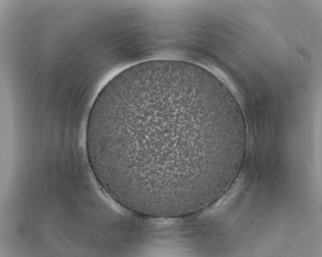 X0000112110862200908181346