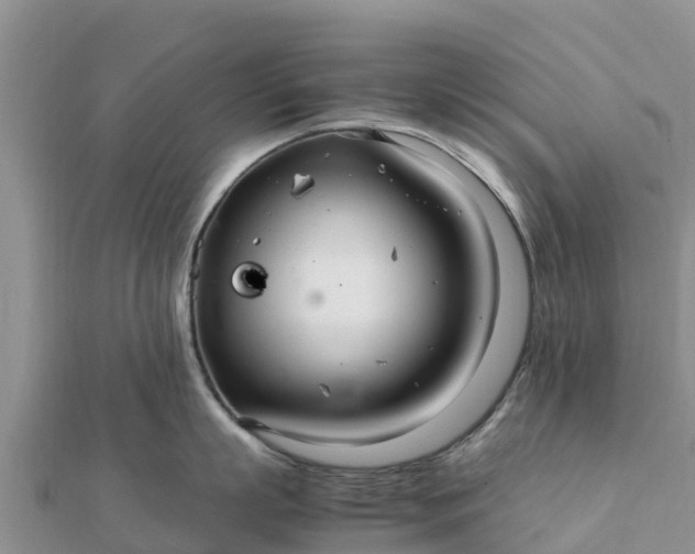 X0000112110863200908181346