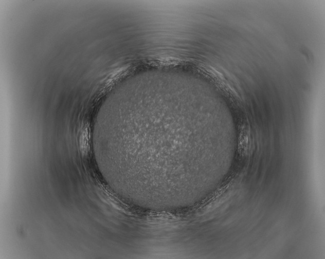 X0000112110866200908181345