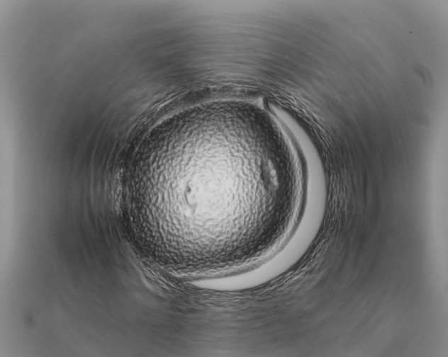 X0000112110868200908181345