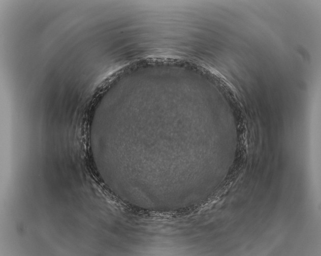 X0000112110870200908181345