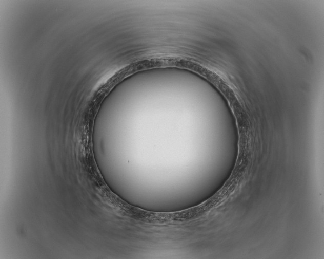 X0000112110871200908181345