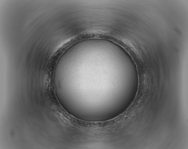 X0000112110872200908181345