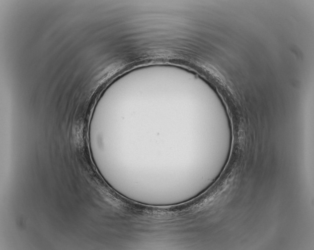 X0000112110873200908181345