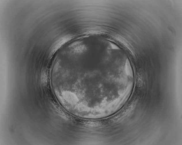 X0000112110874200908181345