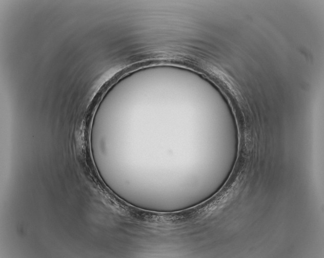 X0000112110875200908181345