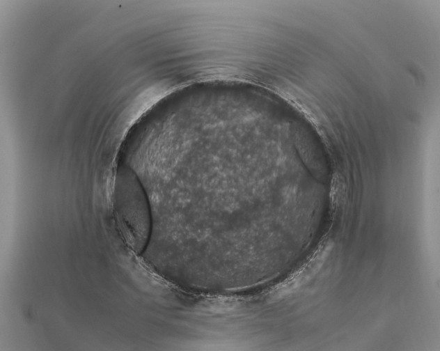 X0000112110877200908181345