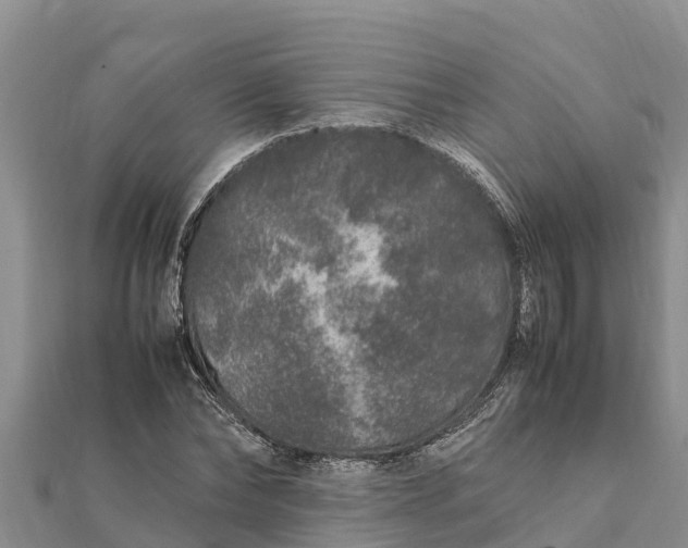 X0000112110878200908181345