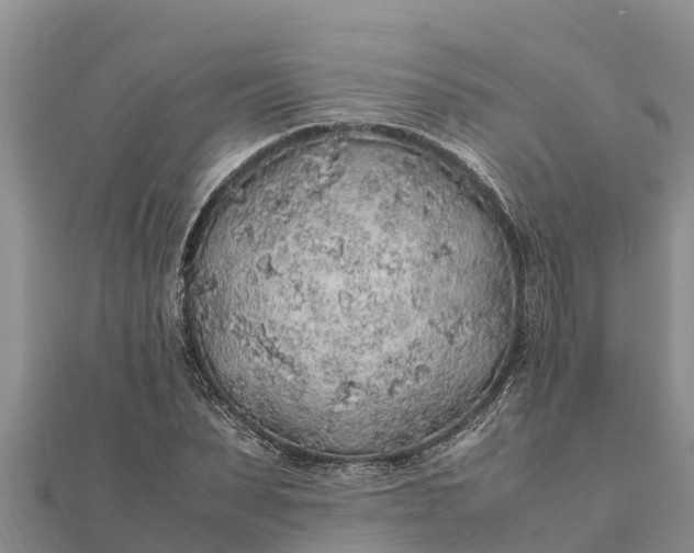 X0000112110879200908181345