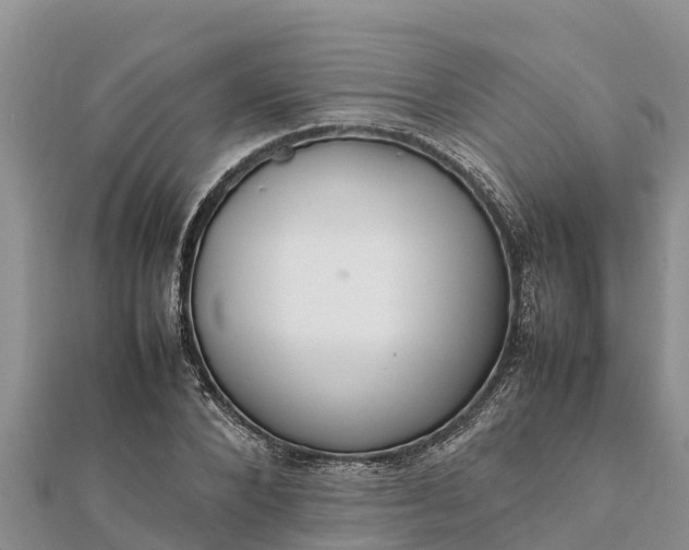 X0000112110880200908181345