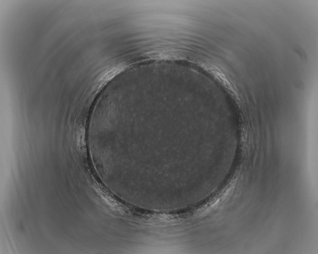 X0000112110881200908181345