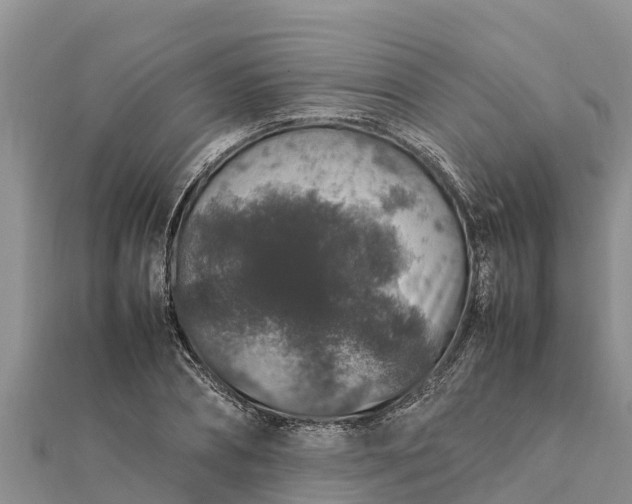 X0000112110882200908181345