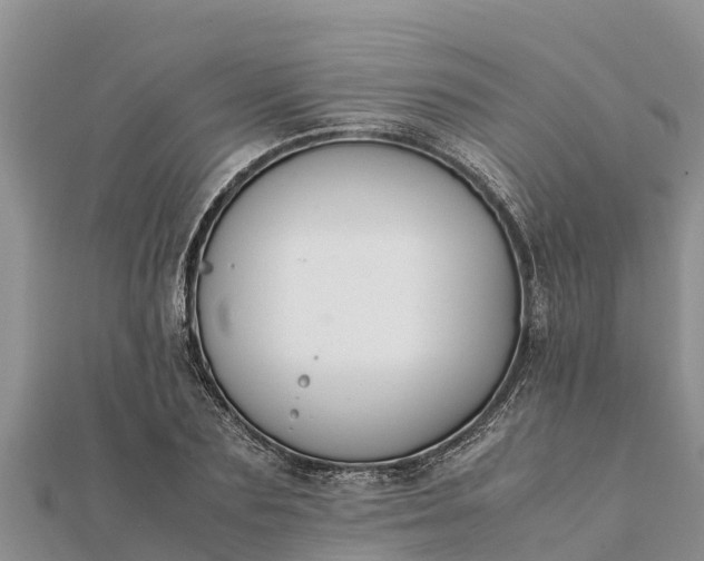 X0000112110883200908181345