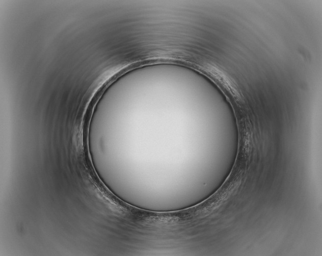 X0000112110884200908181345