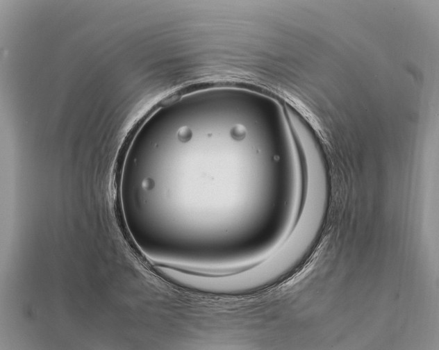 X0000112110885200908181345