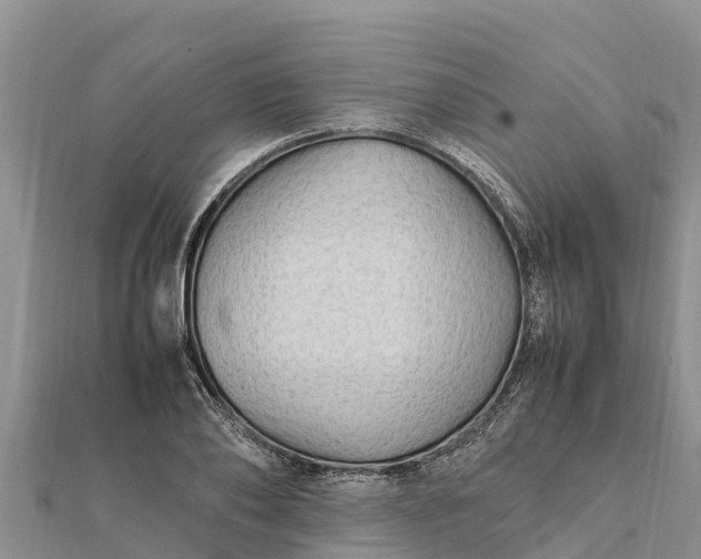 X0000112110886200908181345