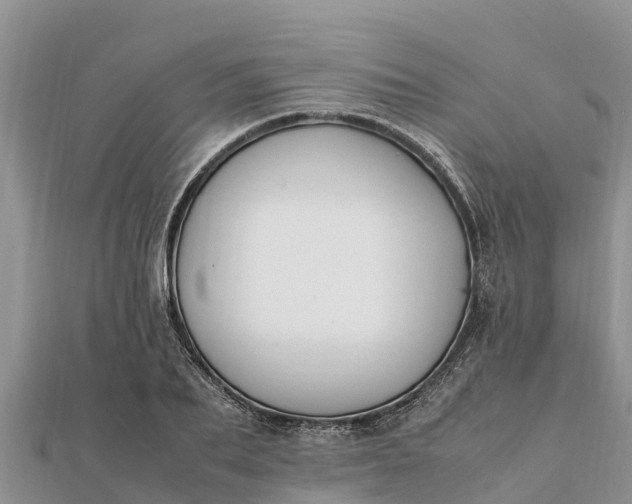 X0000112110887200908181345