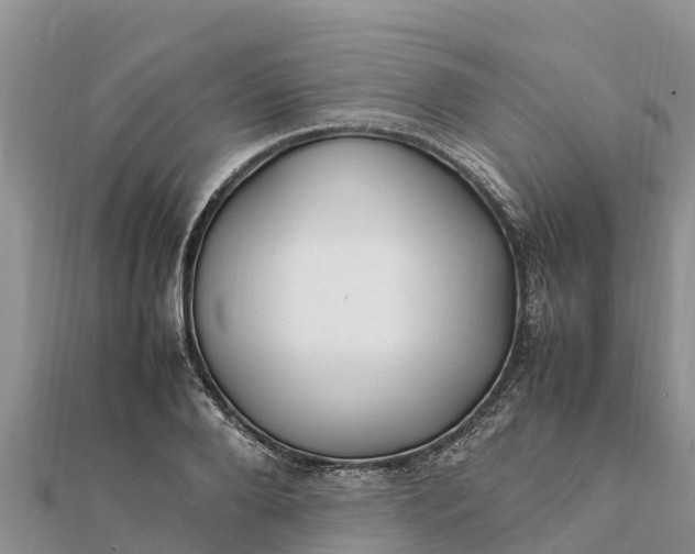 X0000112110888200908181345