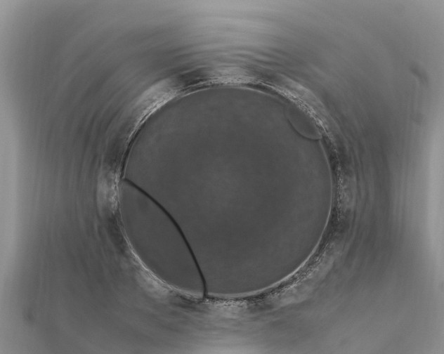 X0000112110889200908181345