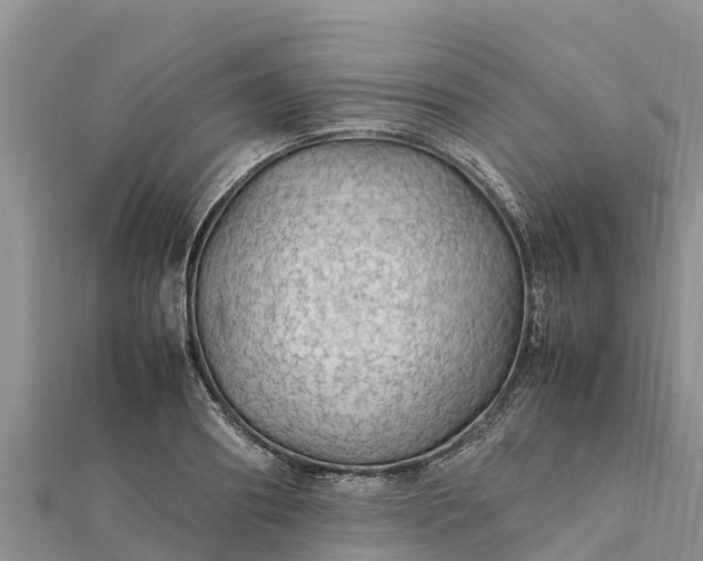 X0000112110890200908181345