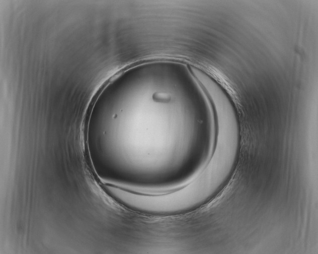 X0000112110892200908181345