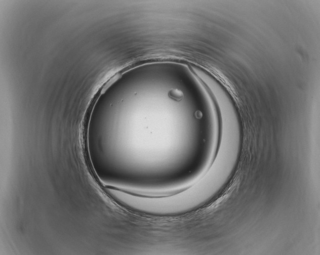 X0000112110893200908181345