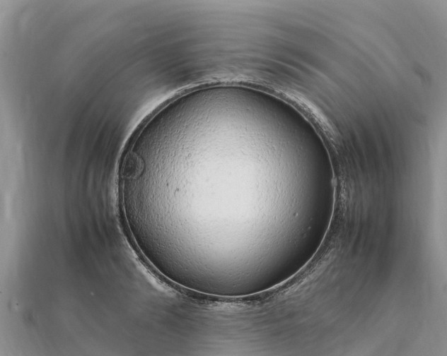 X0000112110894200908181345