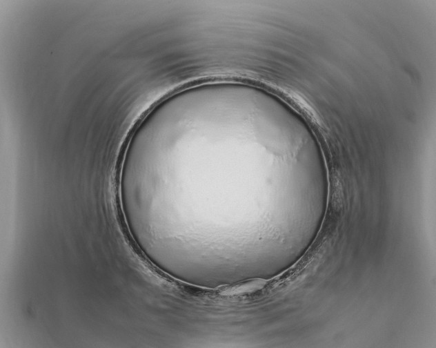 X0000112110895200908181345