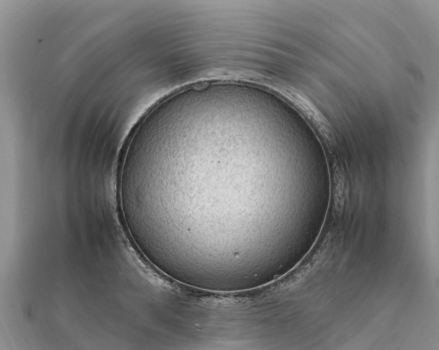 X0000112110896200908181345