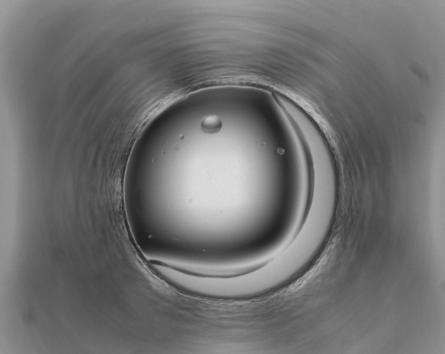 X0000112110897200908181345