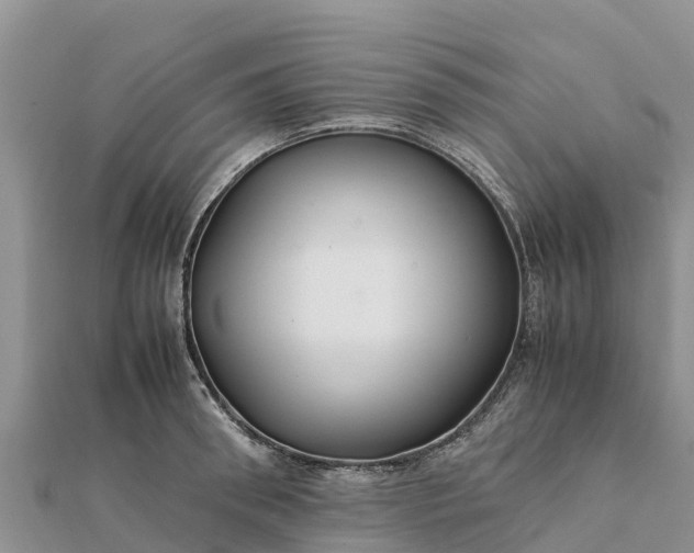 X0000112110898200908181345